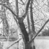 Police Tape. Charcoal on Paper, 58.26 x 86.61 in. (148 cm x 220 cm.)